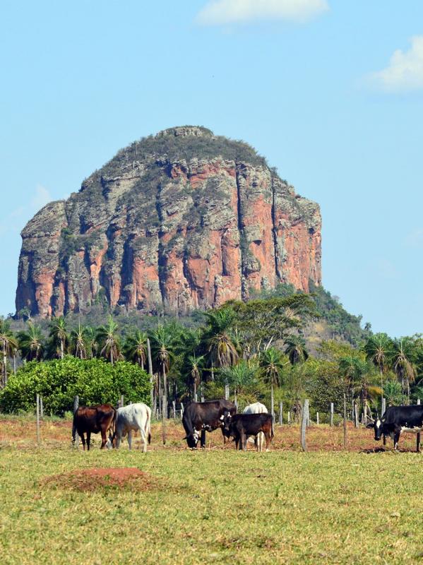 National Parks of Paraguay: King of the Paraguayan Skies