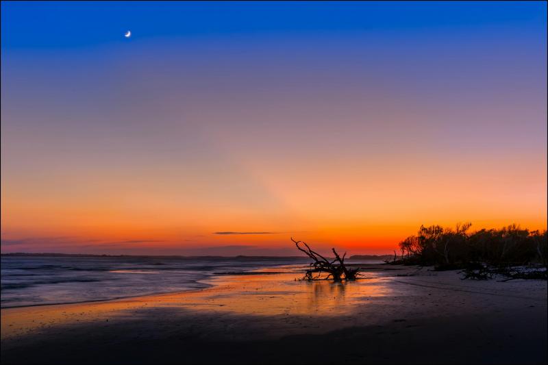 Exploring The South Of The United States: Top Five States To Visit